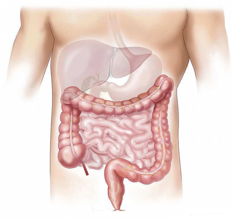 Traiter le syndrome du colon irritable par l'ostéopathie à Aubagne